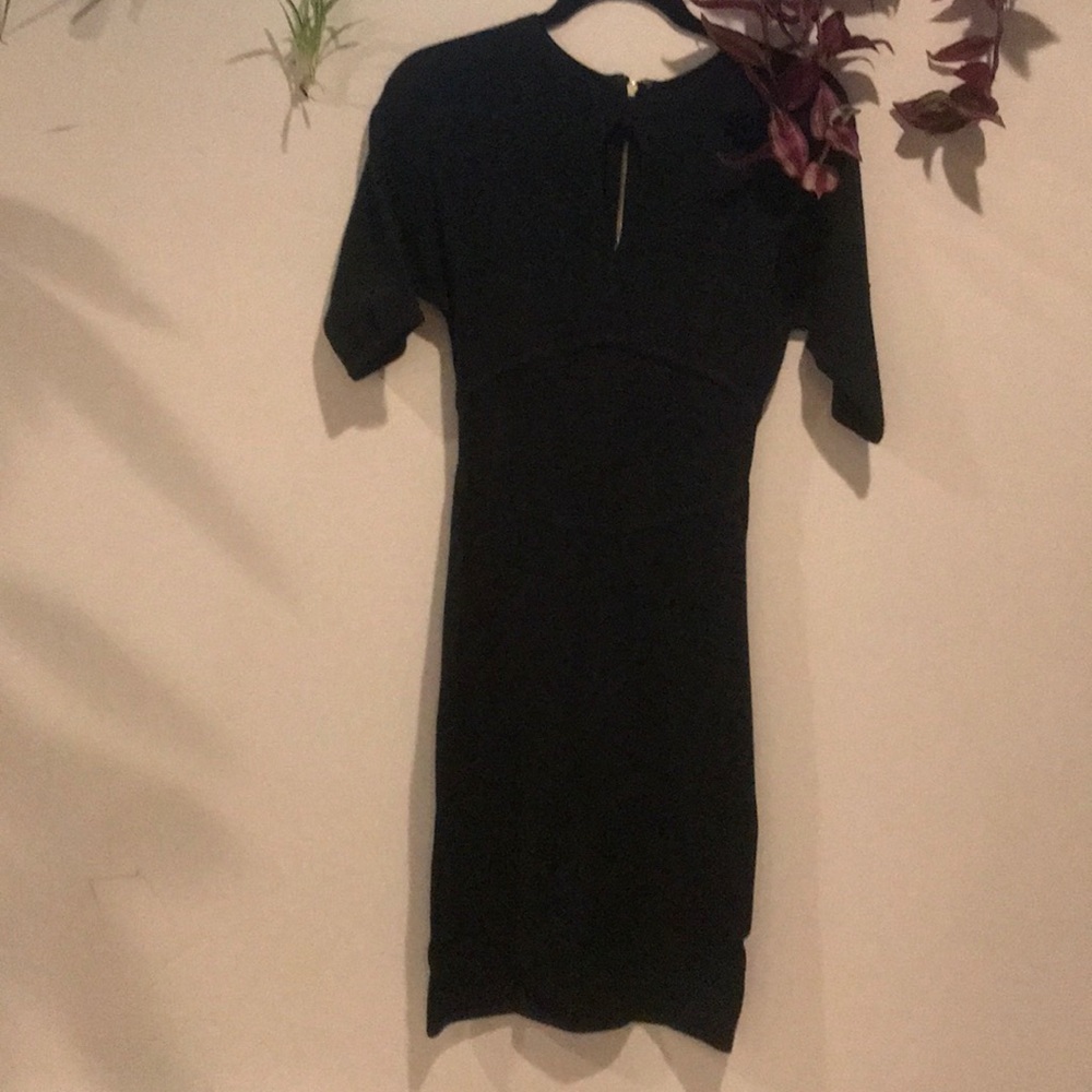 Bebe sweater dress